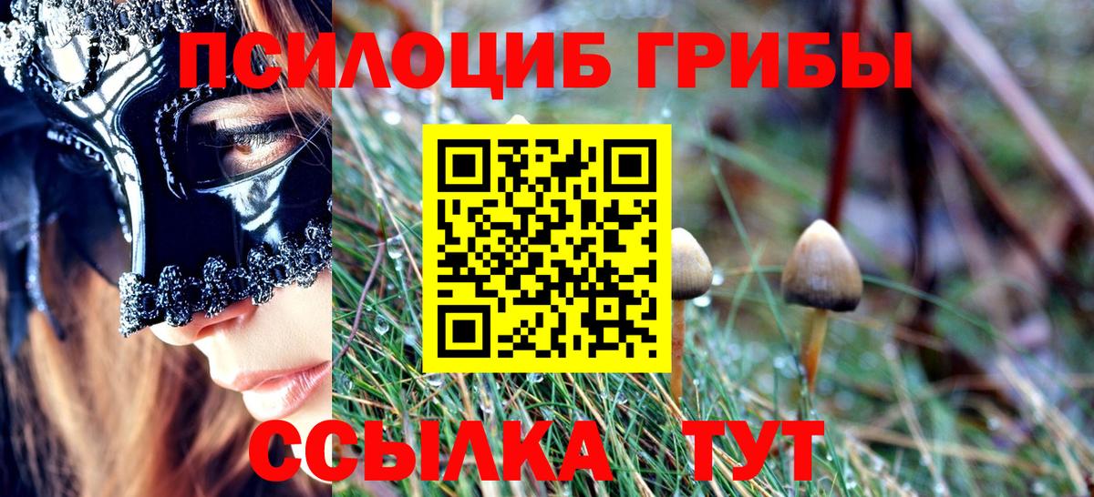 купить наркоту  Галлюциногенные грибы мицелий  Вход с VPN  Донецк  Псилоцибиновые грибы Cubensis 